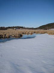 Muddy Brook