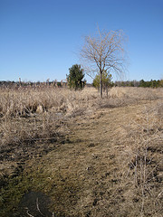 Muddy Brook Reserve