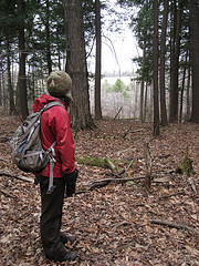 Looking to the Scott Parcel