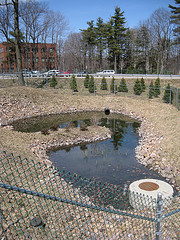 Hinesburg Rd. Stormwater Utility