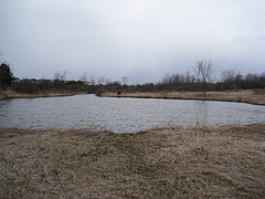 Scott Pond
