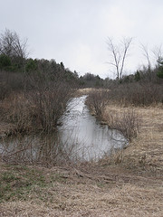 East Seeley South