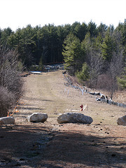 Great Swamp Development