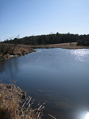 Muddy Brook South Burlington