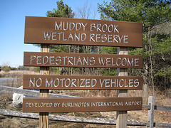 Muddy Brook Wetland Reserve
