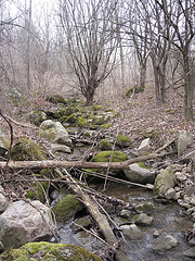 Small Tributary to Seeley