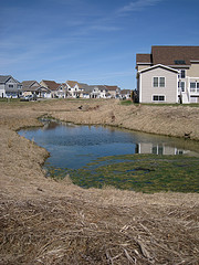 East Fork of Seeley Brook