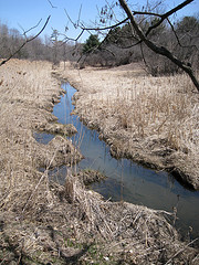 Potash Brook