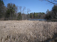 Potash Stormwater Utility