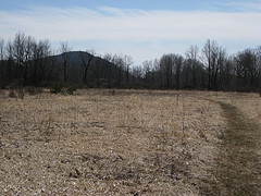 Brownell Mt.