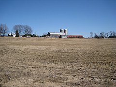 Leduc Farm