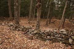 Stone Wall on Leduc Farm