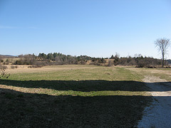 Leduc South