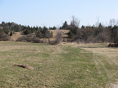 Leduc South