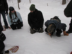 tracking at Lake Iroquis