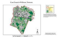 Core Forest