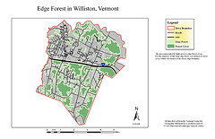 Edge Forest
