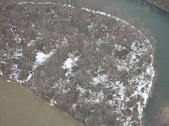 Floodplain Forest