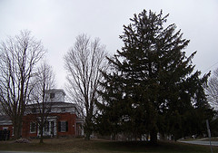 Old town Christmas tree at route 2 intersection in Williston center