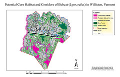 Bobcat Habitat and Corridor Map