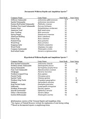 Known and Hypothetical Amphibian and Reptile Species in Williston