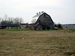 Gambrel-roofed Barn