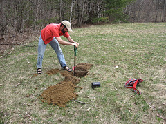 Digging a Soil pit on a delta in Williston