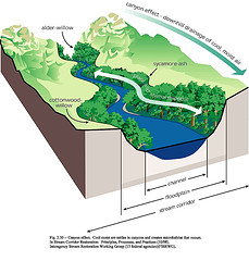 Stream Corridor Diagram