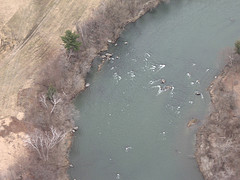 Pools and Riffles