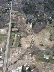 Sucker Brook