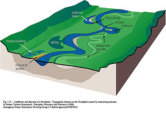 Stream Characteristics