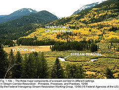 Stream Corridor