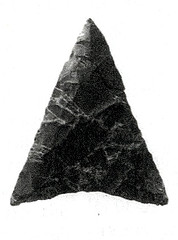 Allenbrook arrowhead