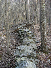 stonewall2