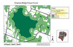 just_Forestcover_map
