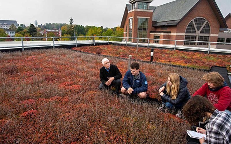 Green roof on University of Vermont Aiken Center A roof covered in plants on a college campus building