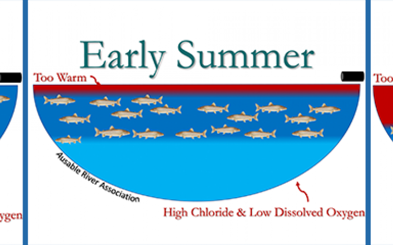 Adapted with permission from the Ausable River Association Diagram showing area of water body that fish can inhabit diminishing from spring to late summer