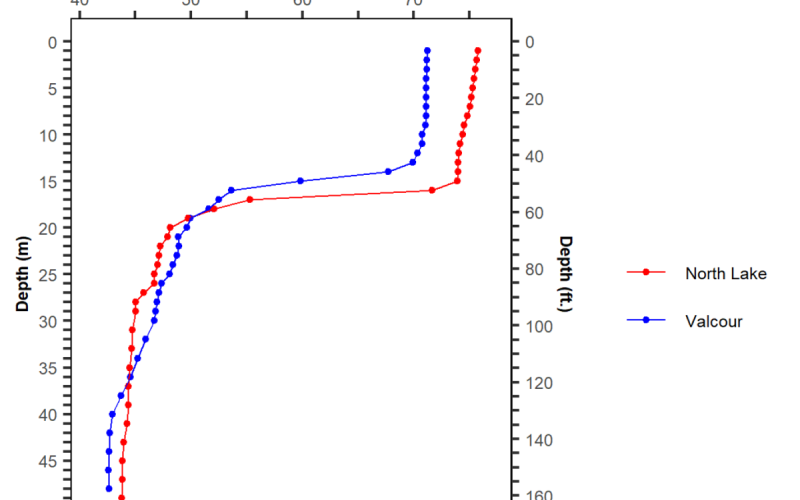 Vertical thermal profiles at Valcour and North lake buoys on July 17 2025. Graph of vertical thermal profiles at Valcour and North lake buoys on July 17 2025.