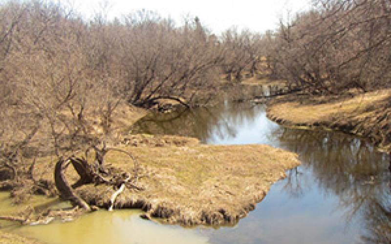 Unhealthy stream (Credit: Minnesota Pollution Control Agency, pca.state.mn.us) Murky stream