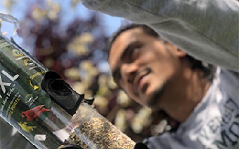 Ishan Maratha hangs bird feeder