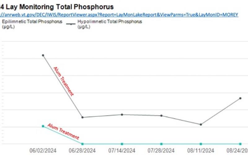 2024 Lay Monitoring Total Phosphorus in Lake Morey Graph of Lake Morey Total Phosphorus in 2024. Trend line showing steep decrease during the Alum Treatment in June