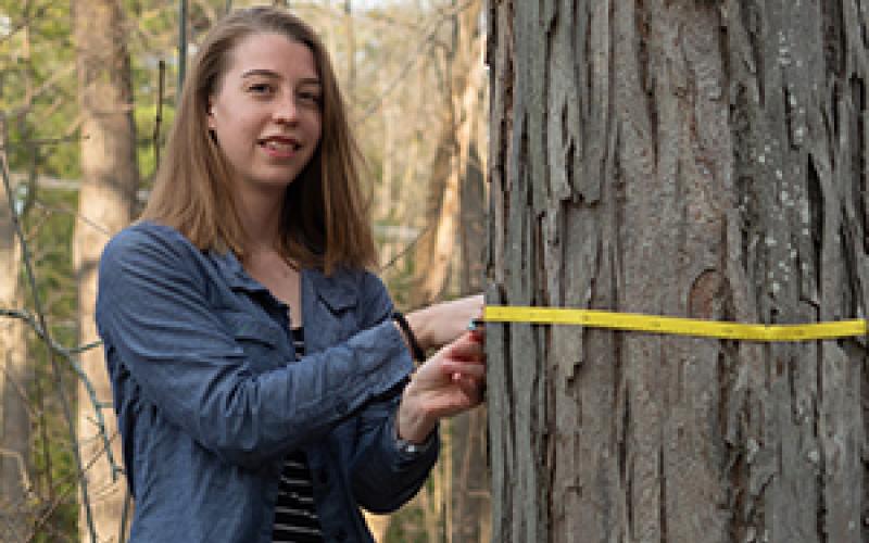 Mariah Choiniere measures a tree