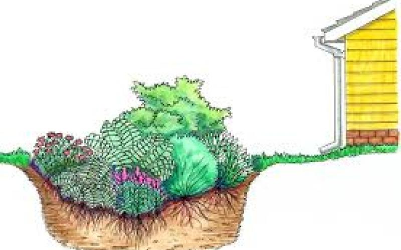 Cross-section of a typical home rain garden developed by the Vermont Department of Environmental Conservation Cross-section of a typical home rain garden developed by the Vermont Department of Environmental Conservation