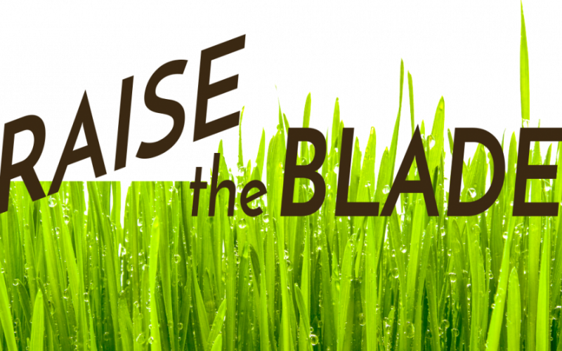 Raise the Blade logo