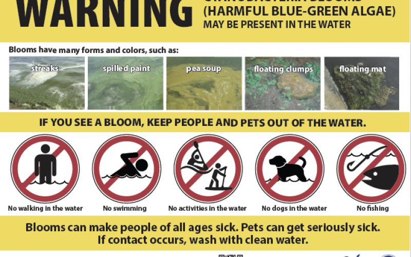 warning about cyanobacteria blooms warning sign about cyanobacteria blooms