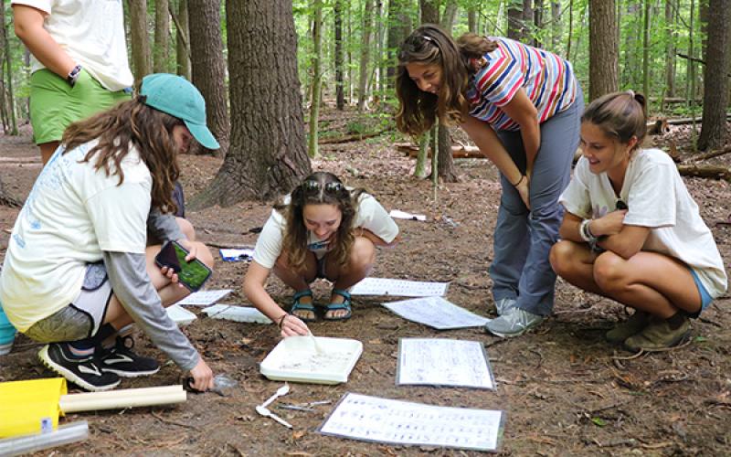 Undergraduate students engaged in the biological portion of the stream monitoring training. They learned about benthic macroinvertebrates (bottom dwelling insects without backbones) and the role they play as water quality indicator species.  Five undergraduate students in wooded setting study a tray holding a sample of stream water
