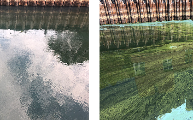 side by side images of the Burlington waterfront without a bloom (left) and with a bloom (right)