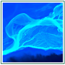 Icon showing digital elevation model of a river system