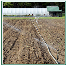 Icon showing water irrigation in an agricultural field