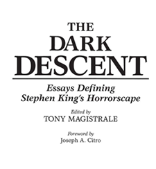 Dark Descent Essays Defining Stephen King's Horrorscape cover